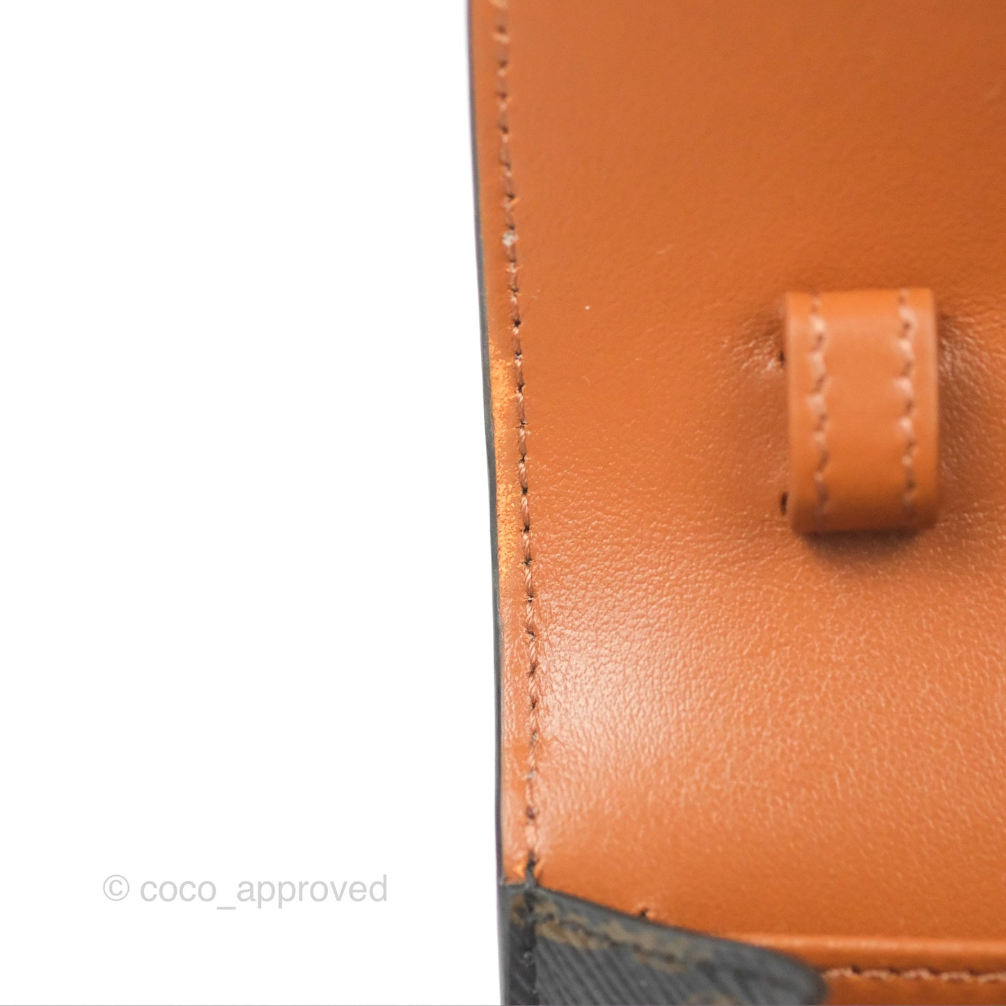 Celine Wallet On Strap Triomphe Canvas Tan Lambskin