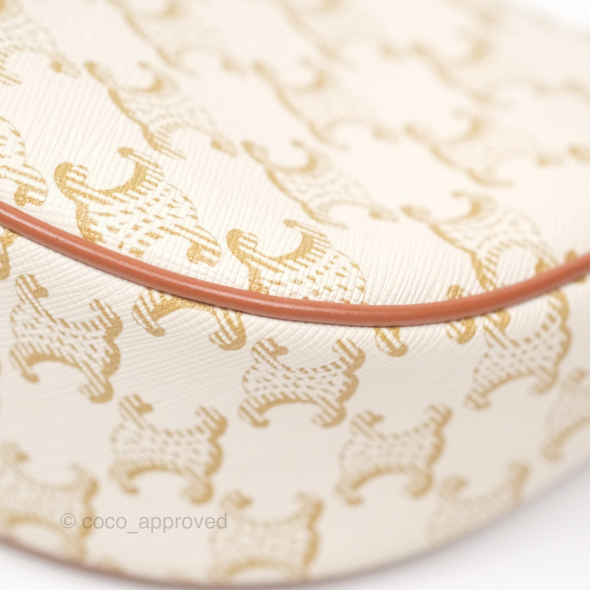 Celine Ava Bag In Triomphe Canvas Calfskin White