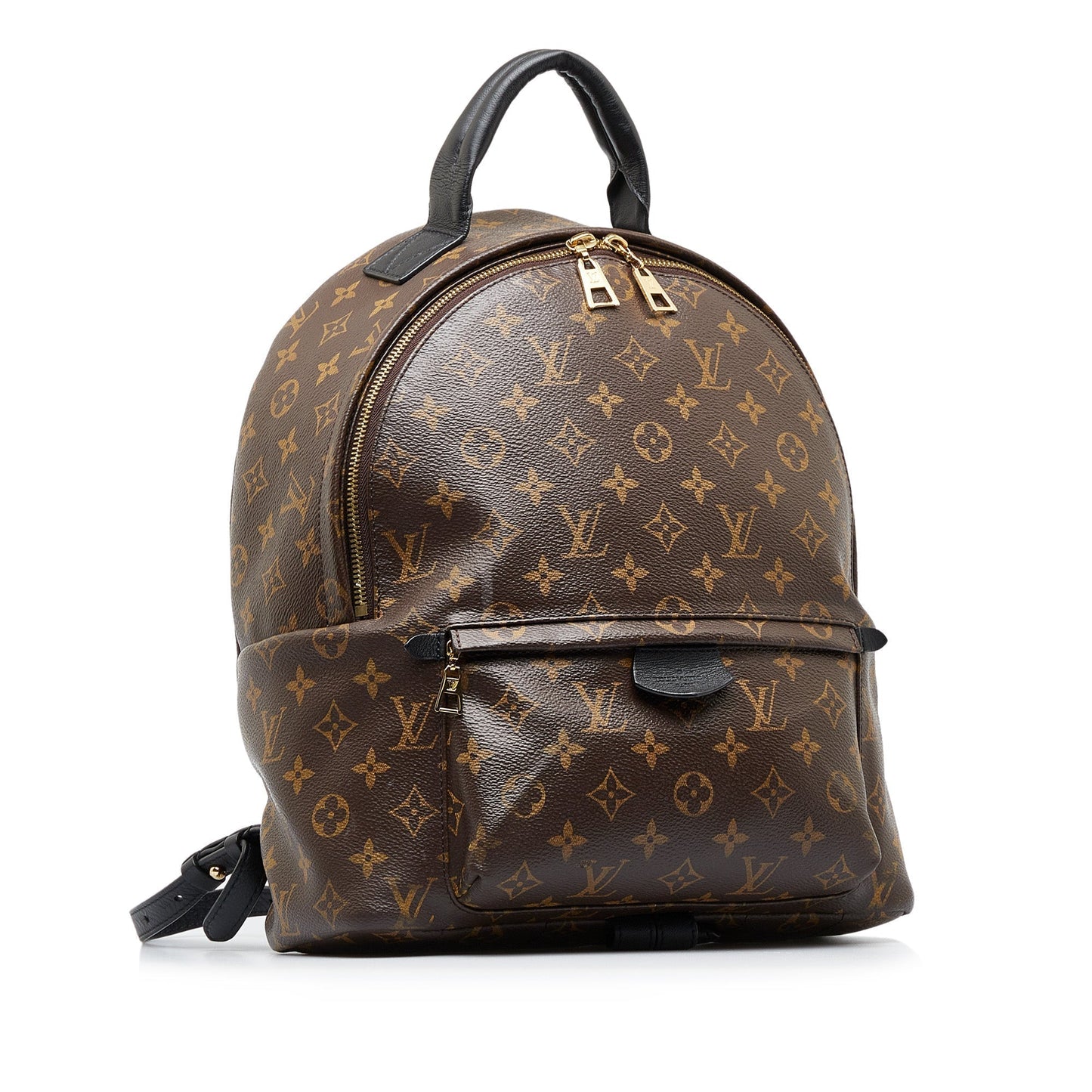 LOUIS VUITTON Monogram Palm Springs MM Backpack