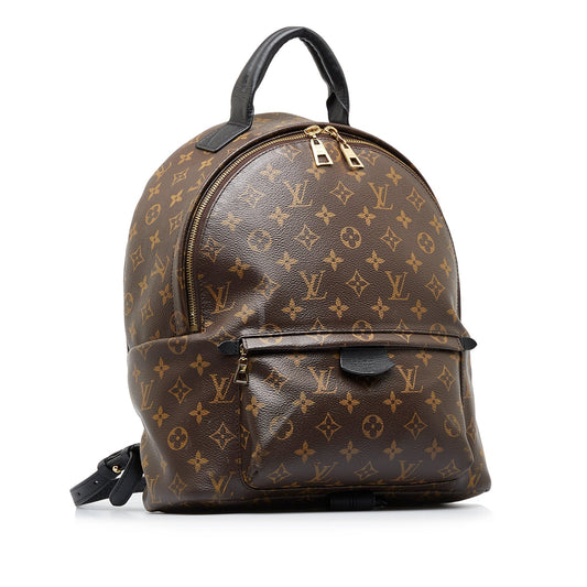 LOUIS VUITTON Monogram Palm Springs MM Backpack