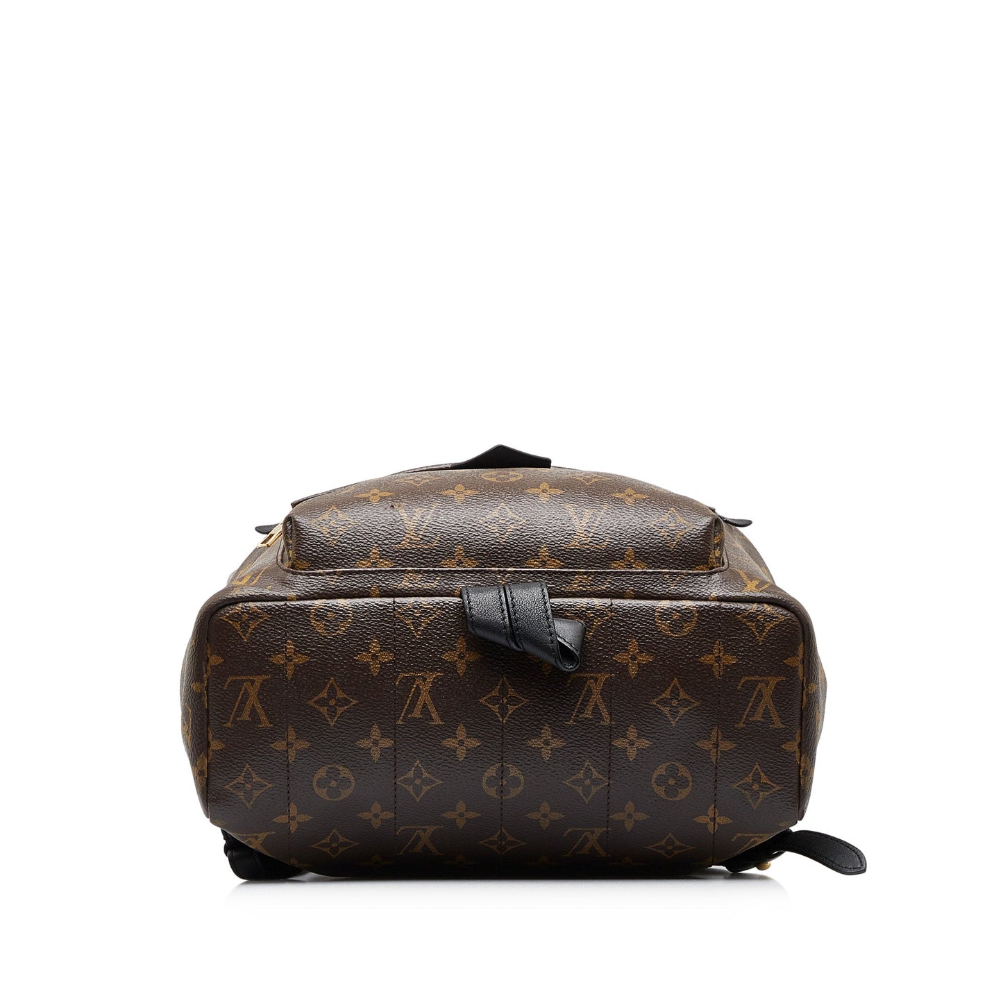 LOUIS VUITTON Monogram Palm Springs MM Backpack