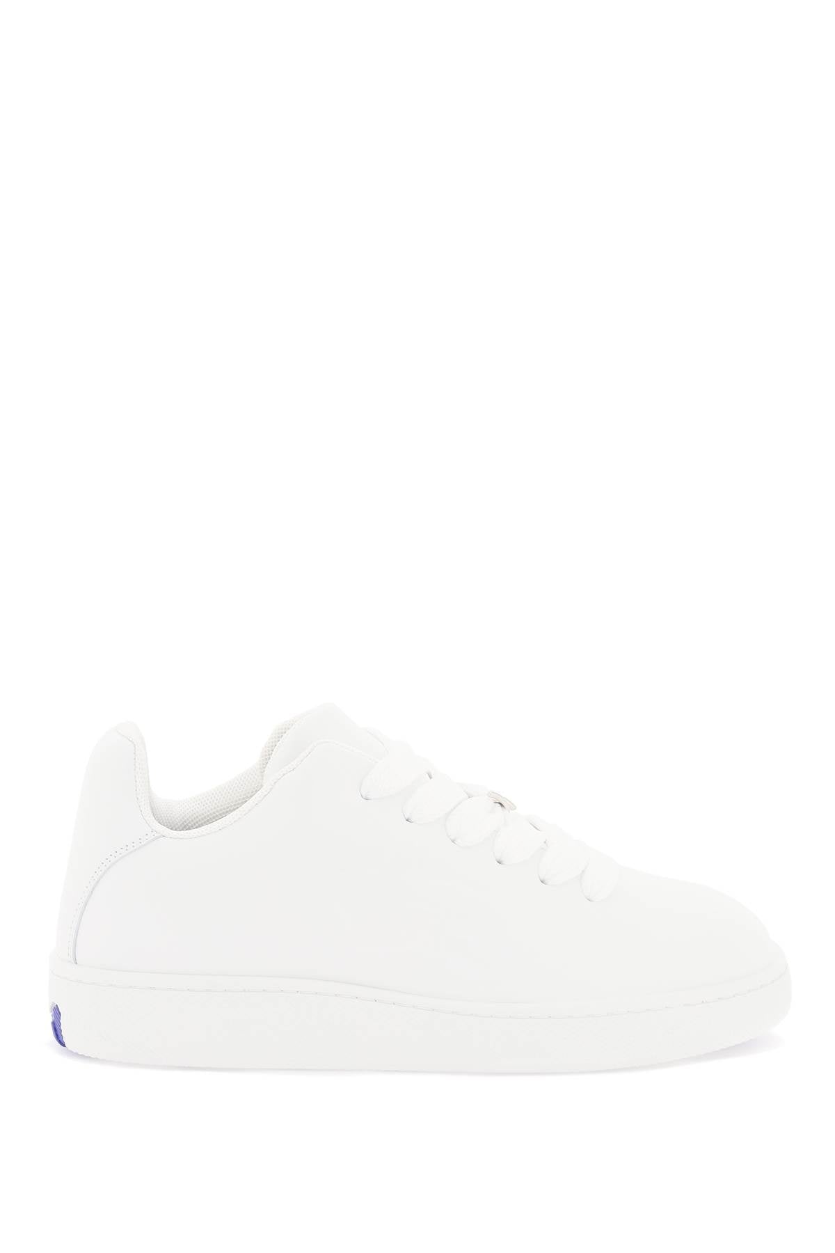 Burberry Leather Sneaker Storage Box Men
