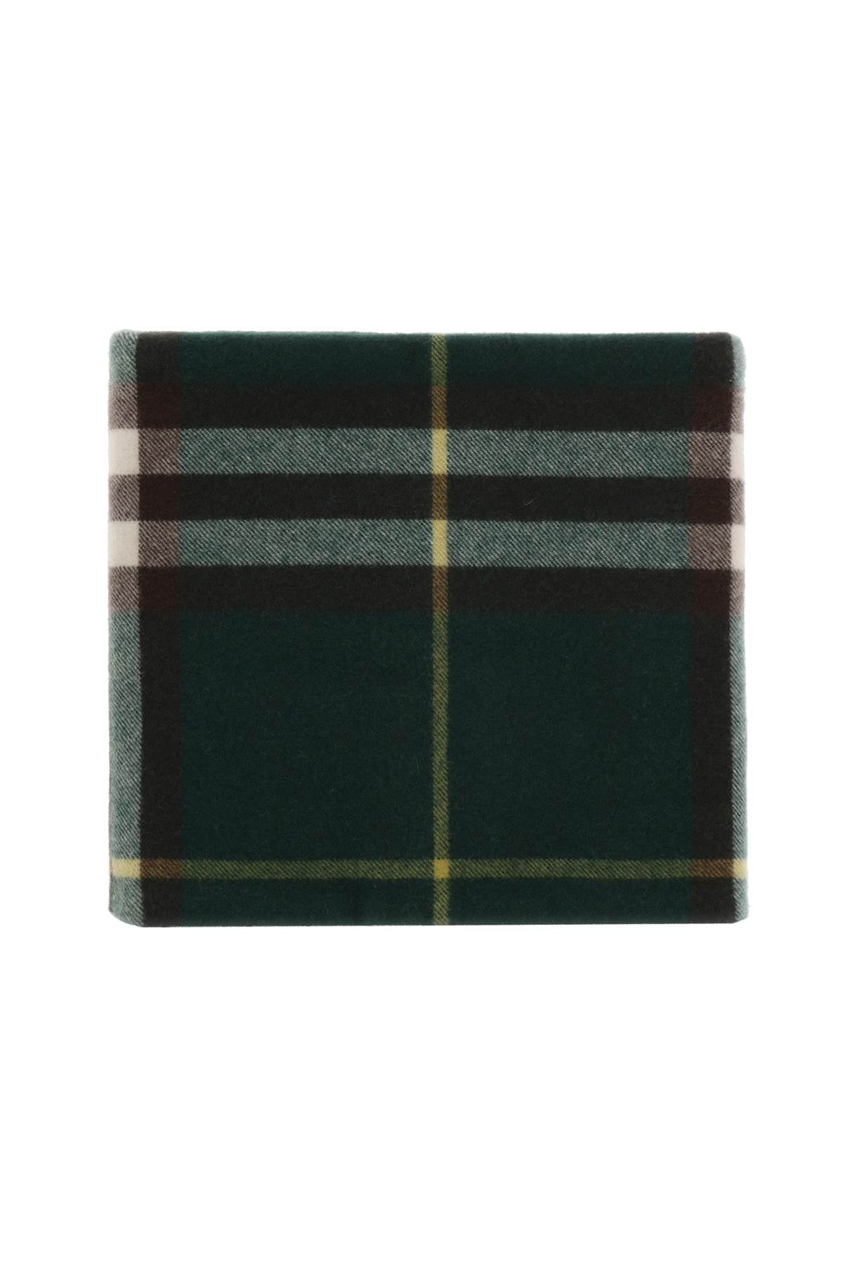 Burberry Cashmere Neck Warmer Women