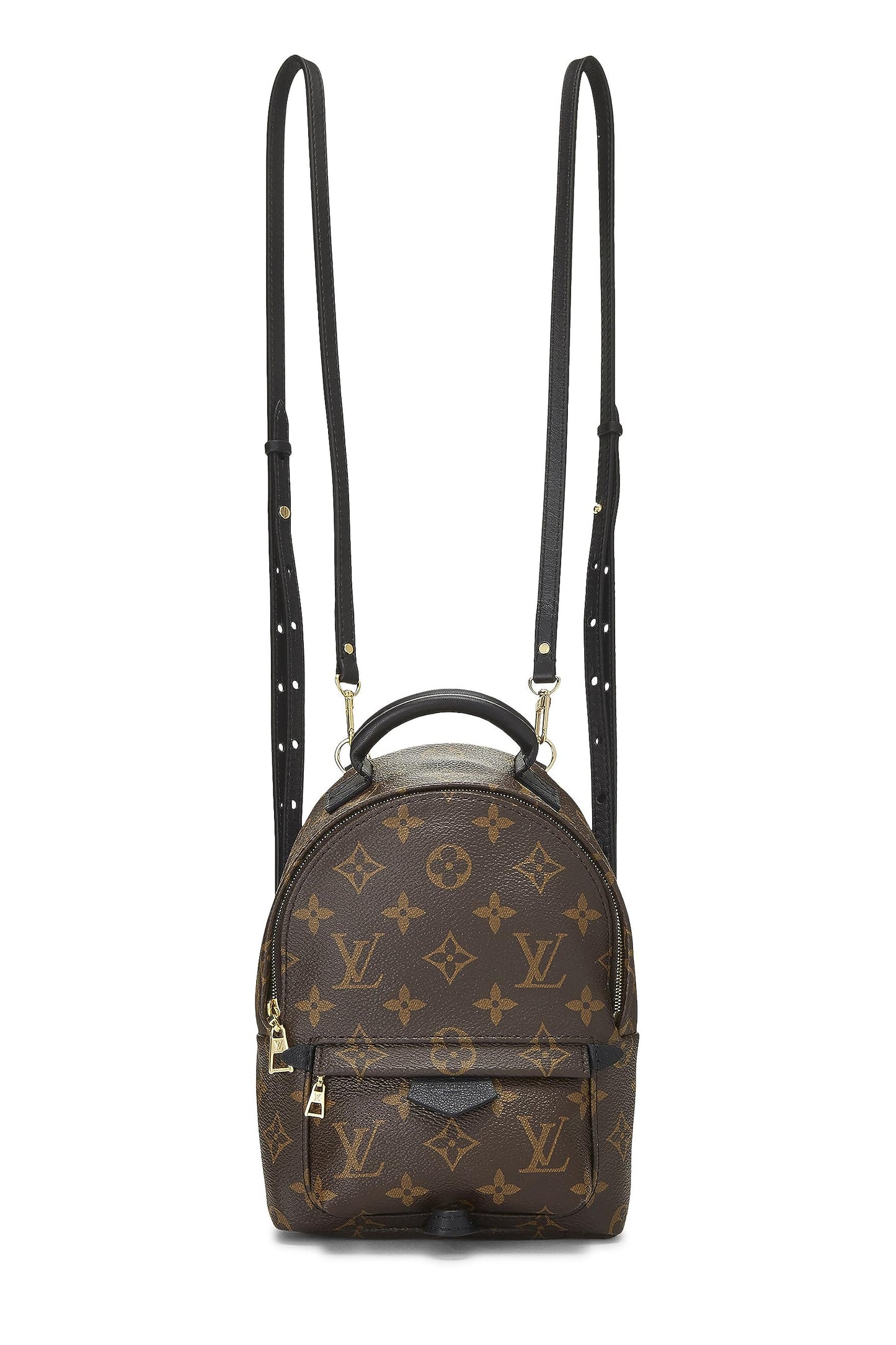 Louis Vuitton,  Monogram Canvas Palm Springs Backpack Mini, Brown