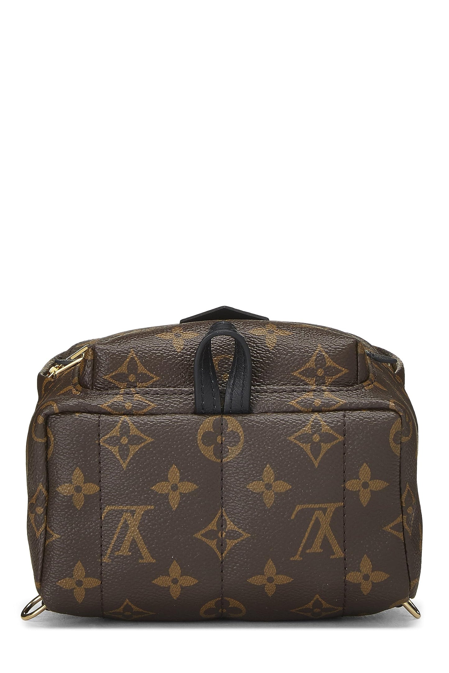 Louis Vuitton,  Monogram Canvas Palm Springs Backpack Mini, Brown