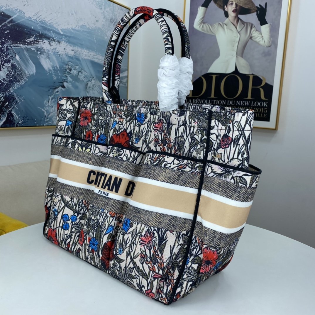 Luxury Handbags Christian Dior 081