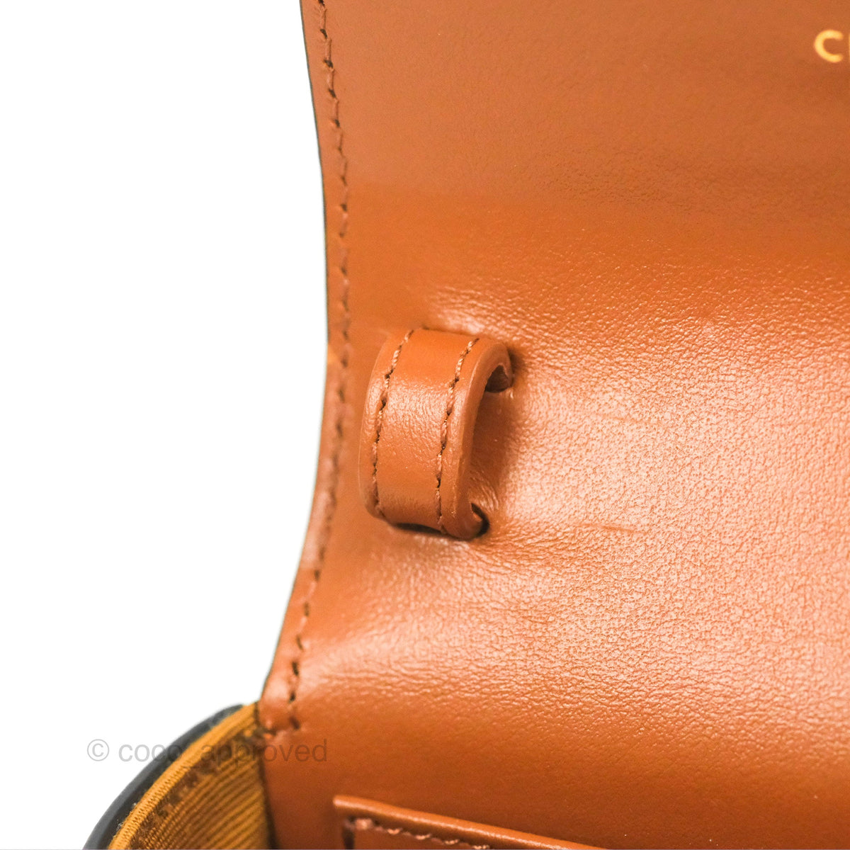 Celine Tan Canvas Calfskin Mini Triomphe