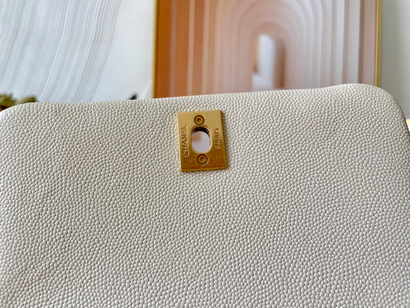 The Arid Bag Shop new Luxury  - Chanel Bags - 575