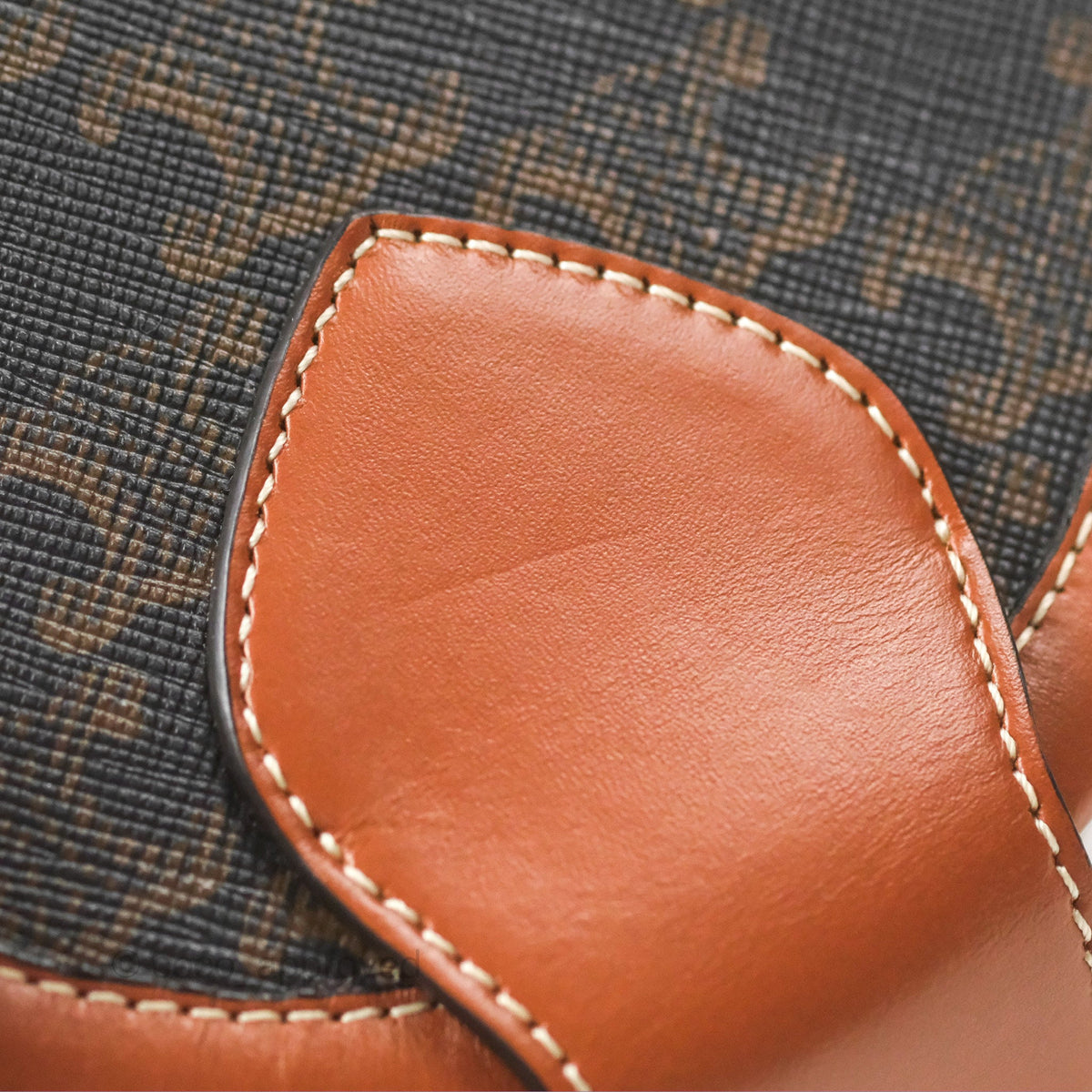 Celine Small Tambour Triomphe Canvas