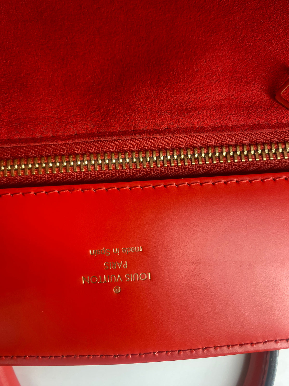 LOUIS VUITTON Phenix Handbag