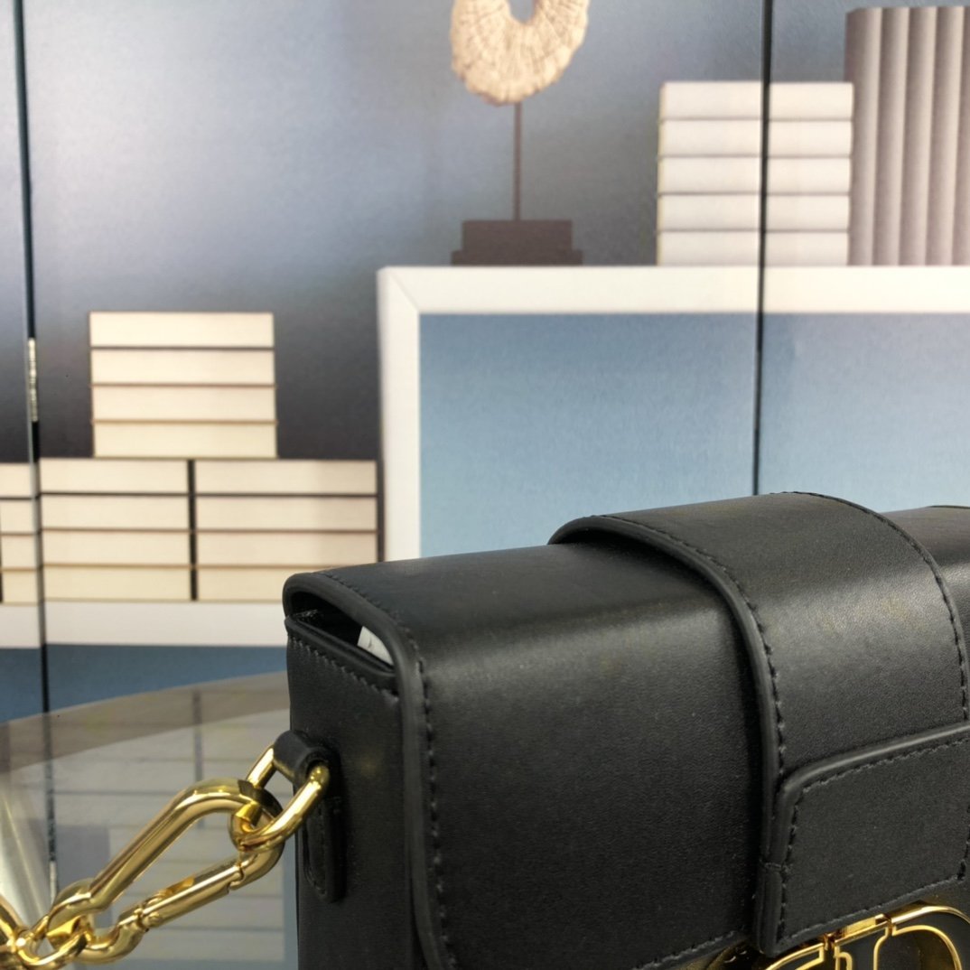 Luxury Handbags Christian Dior 244