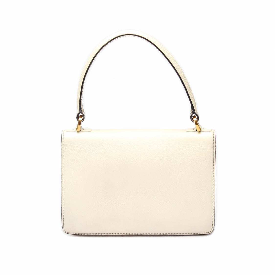 Dio(r)evolution Flap Bag
