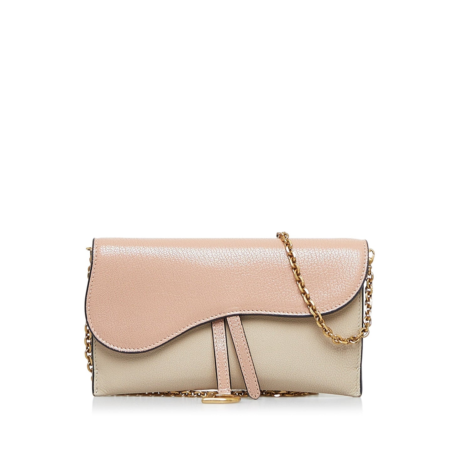 DIOR Saddle Wallet On Chain Crossbody Bag