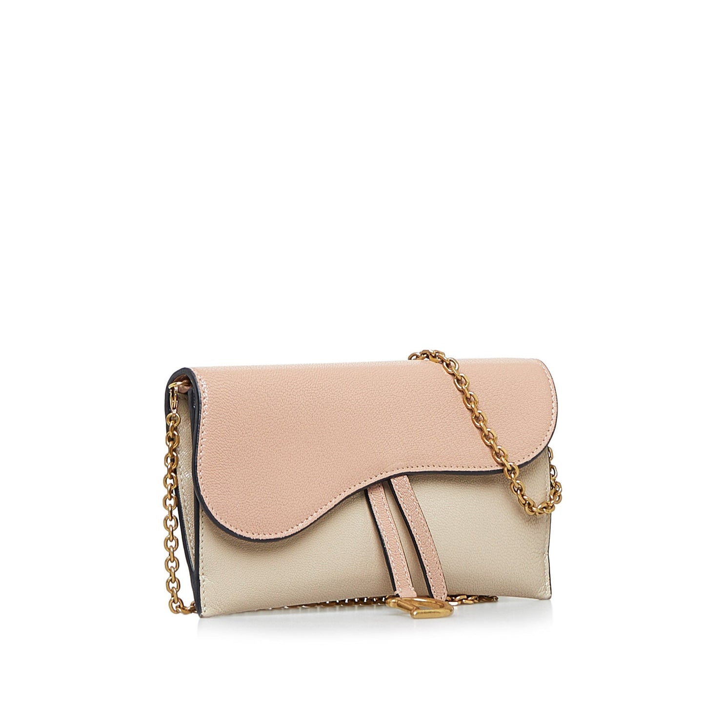 DIOR Saddle Wallet On Chain Crossbody Bag