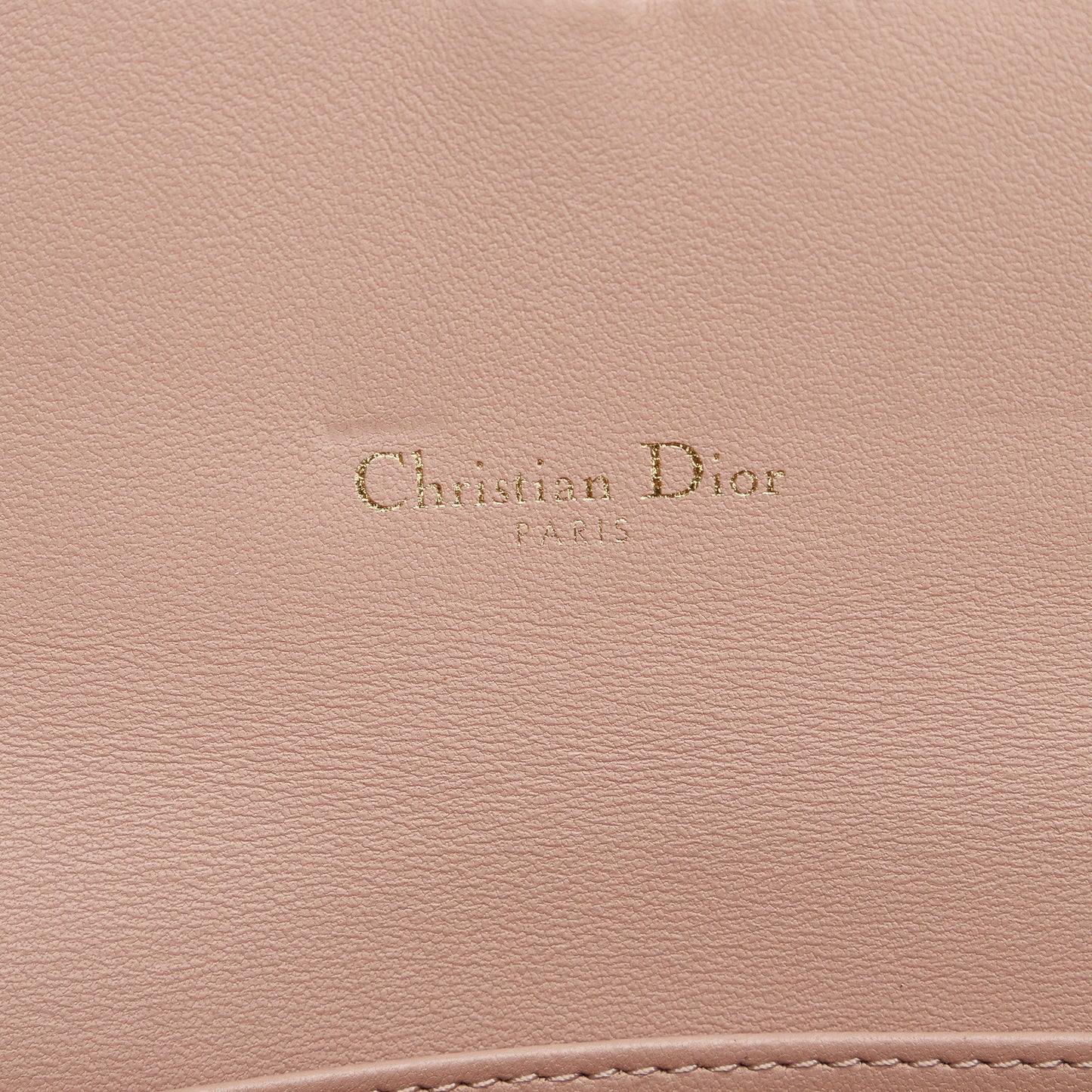 DIOR Saddle Wallet On Chain Crossbody Bag