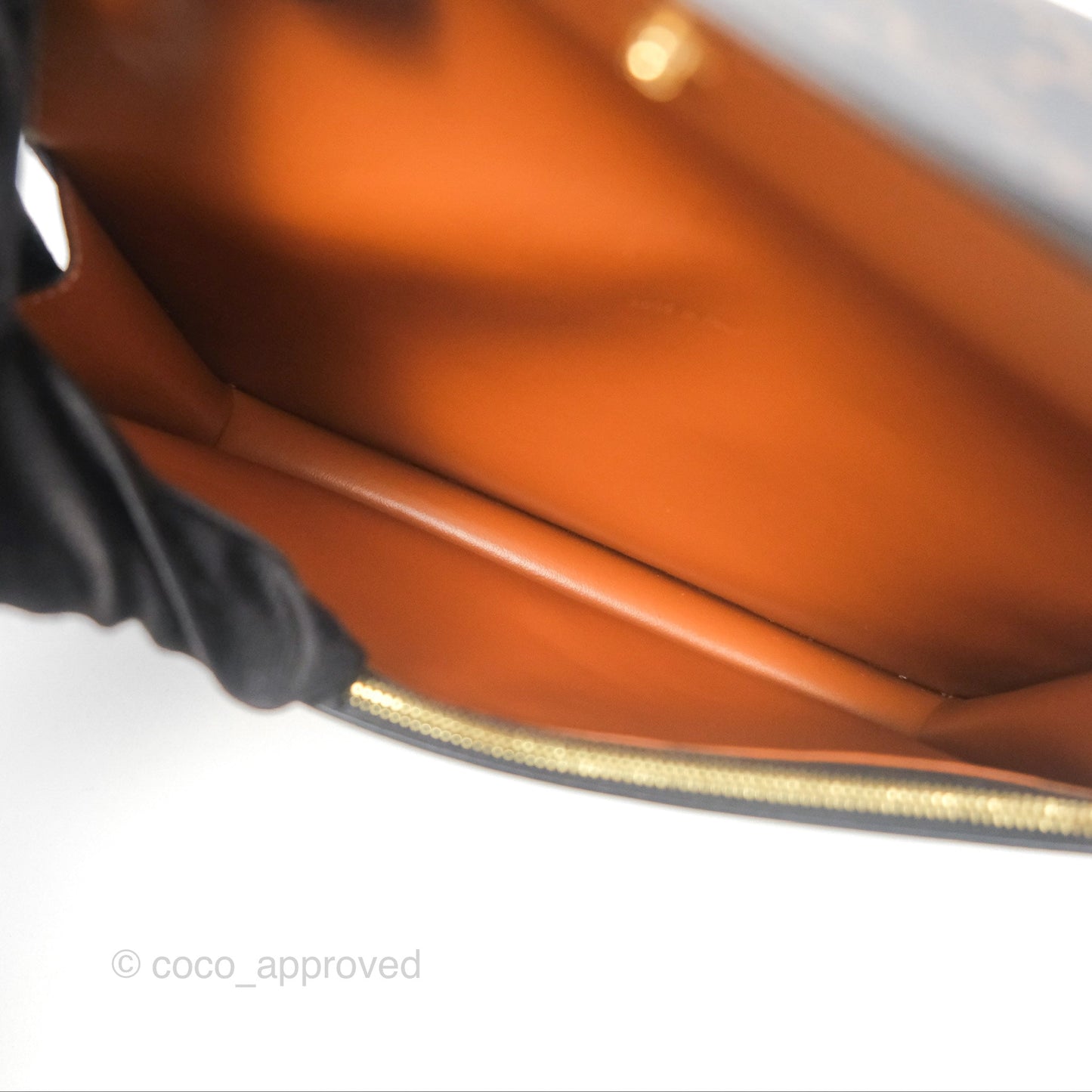 Celine Wallet On Strap Triomphe Canvas Tan Lambskin