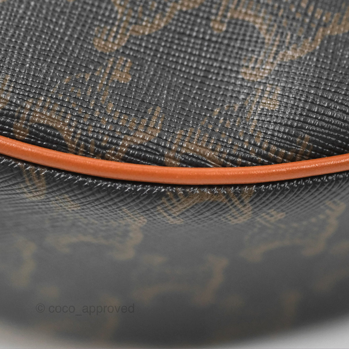 Celine Ava Bag In Triomphe Canvas Calfskin Tan