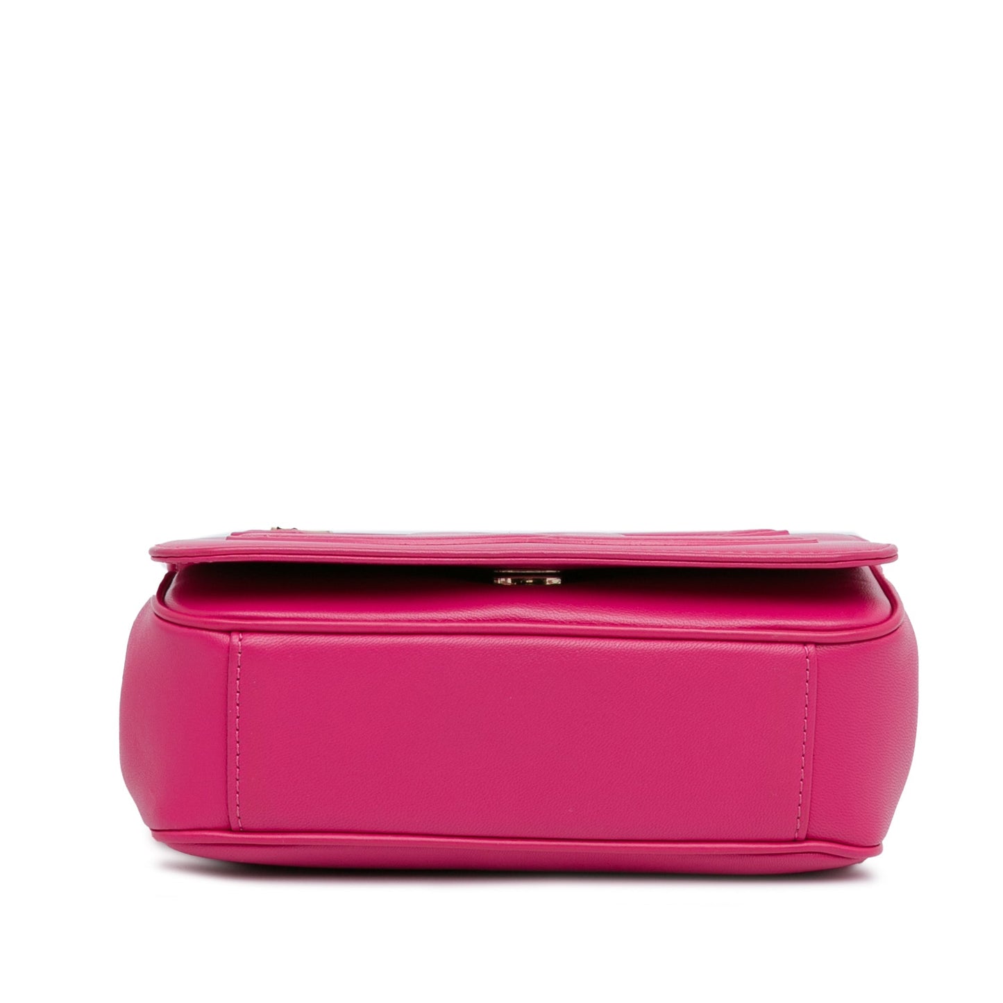 Pink Chanel Lambskin CC Mania Flap Crossbody Bag