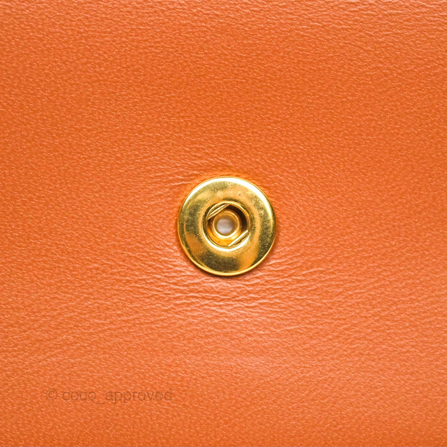 Celine Wallet On Strap Triomphe Canvas Tan Lambskin