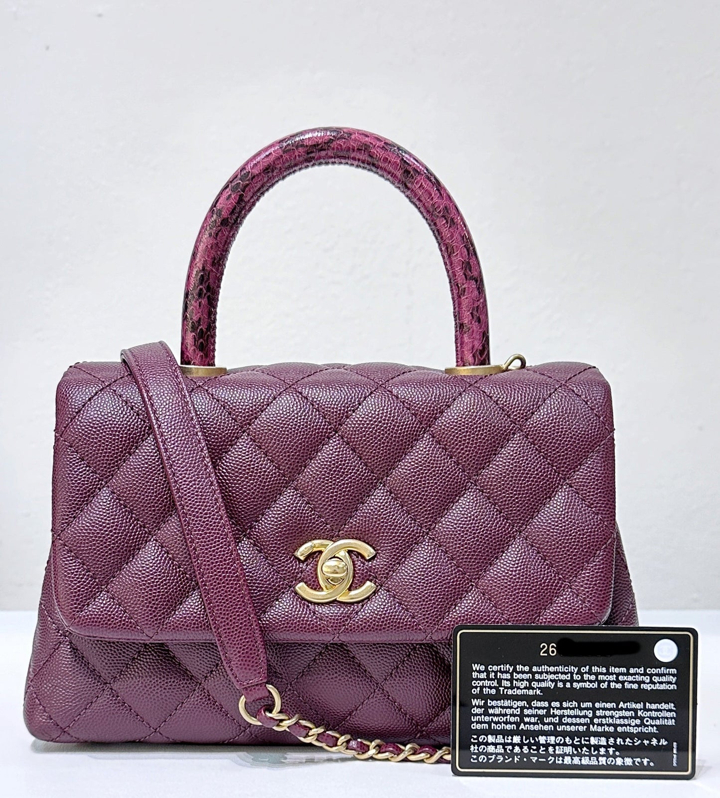Chanel Small Coco Handle Elaphe Leather Handle Burgundy