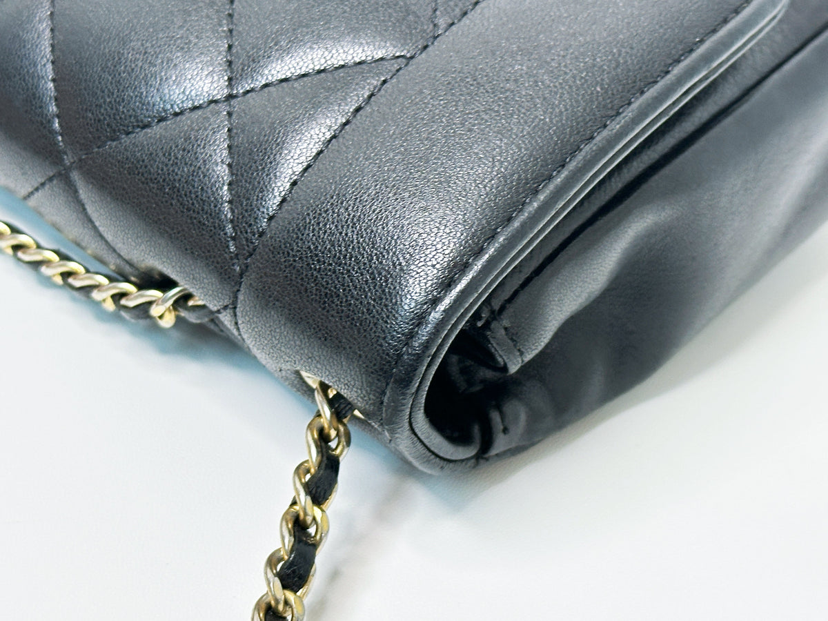 Chanel Small Diana Flap Black Lambskin GHW 2073 holo