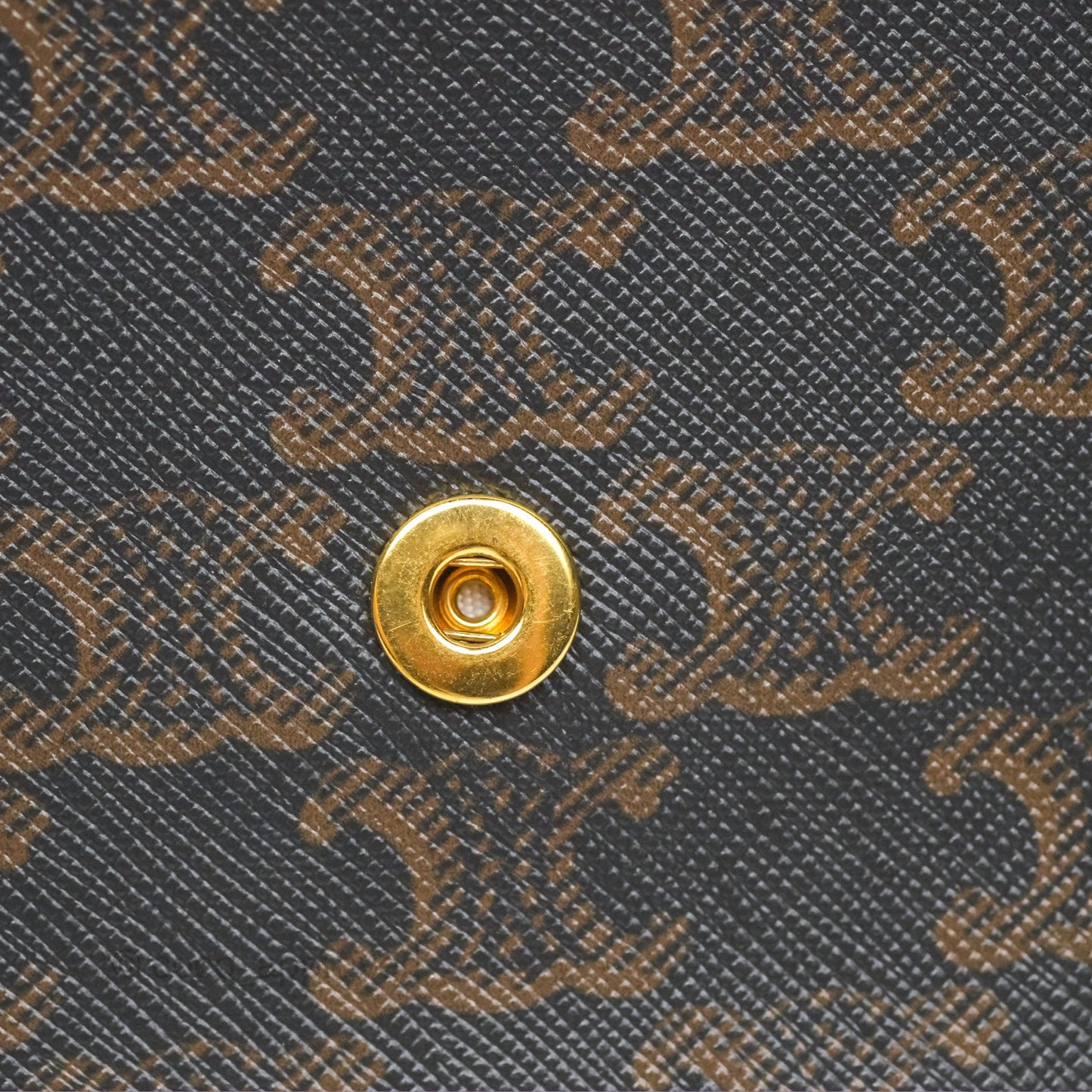 Celine Wallet On Strap Triomphe Canvas Tan Lambskin