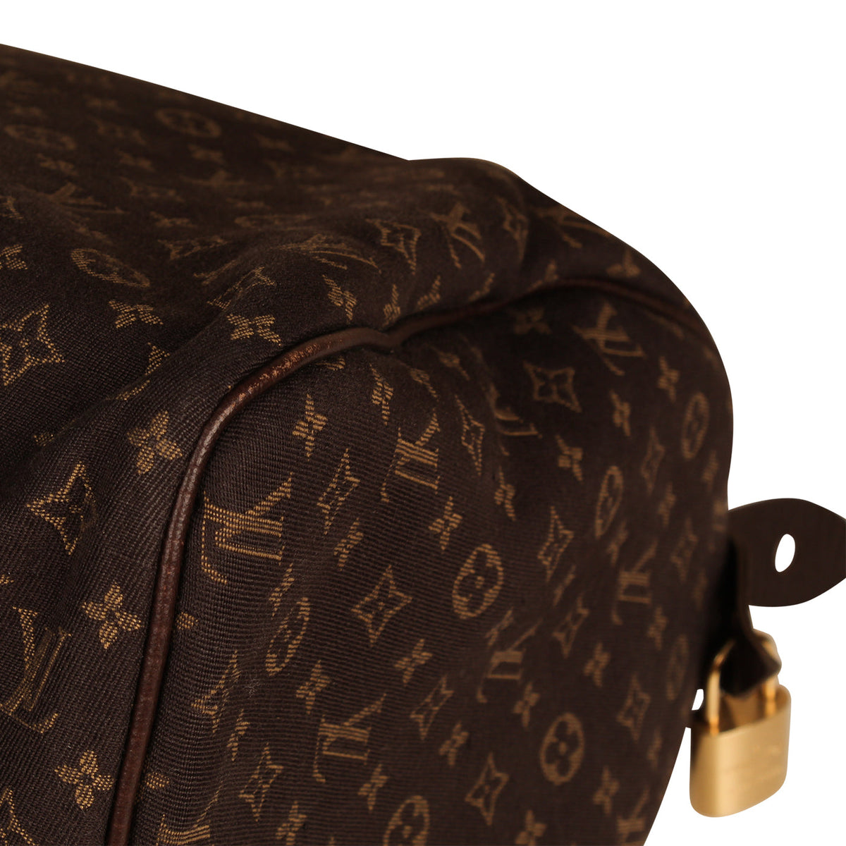 Speedy 30 - Monogram Idylle Fabric