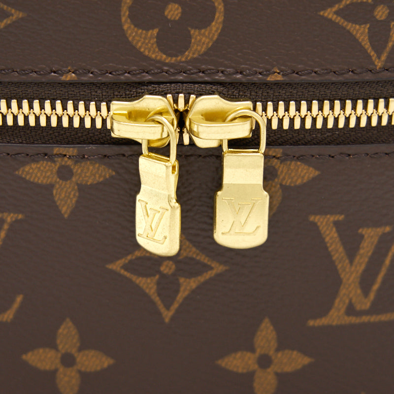 LOUIS VUITTON NICE NANO