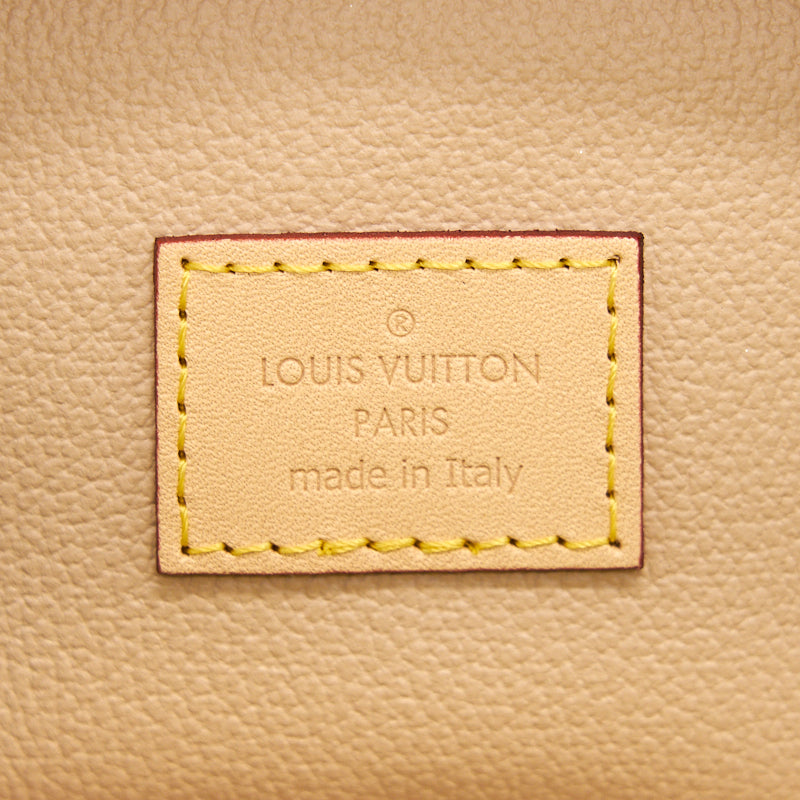 LOUIS VUITTON NICE NANO