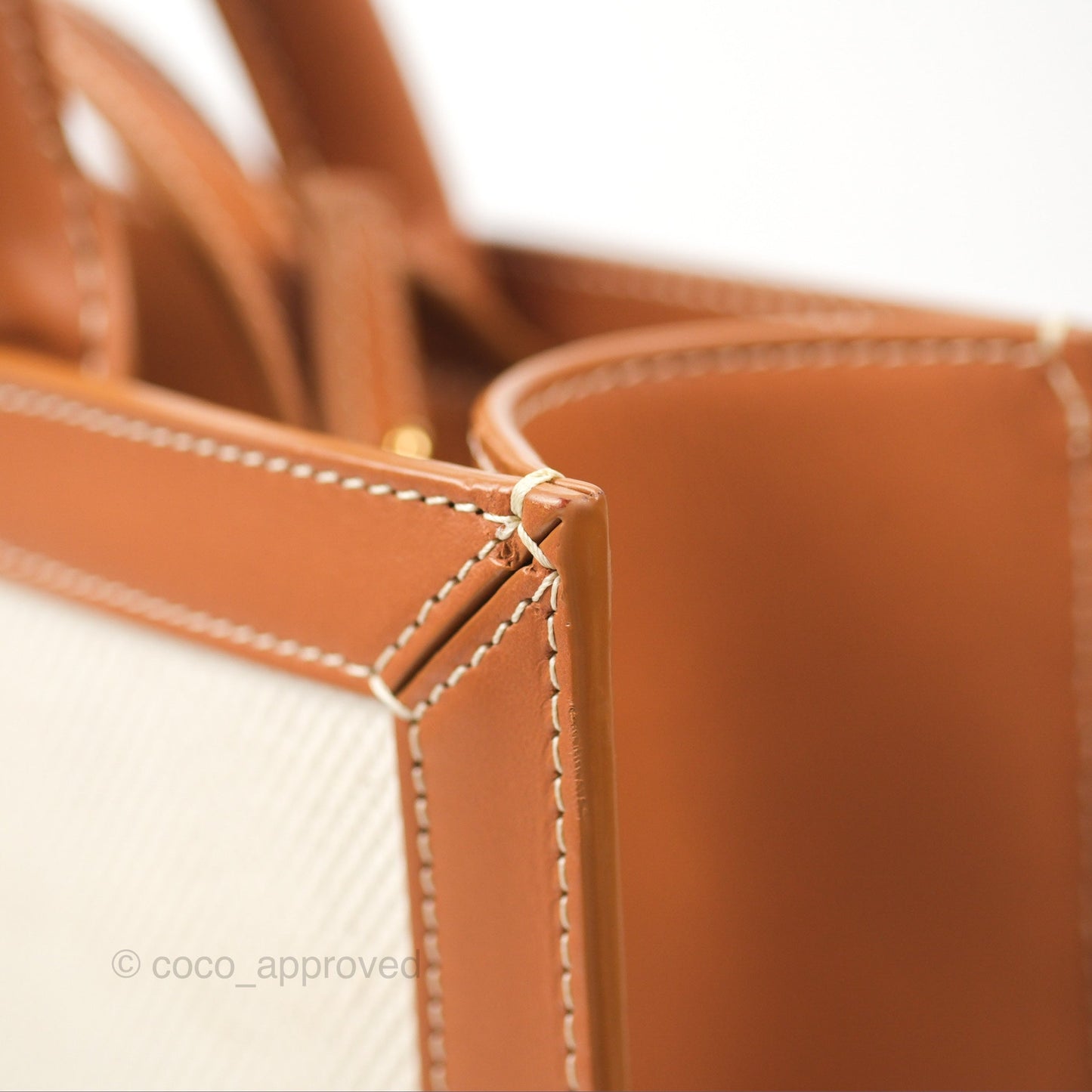 Celine Small Vertical Cabas Tote With Celine Print Natural/Tan