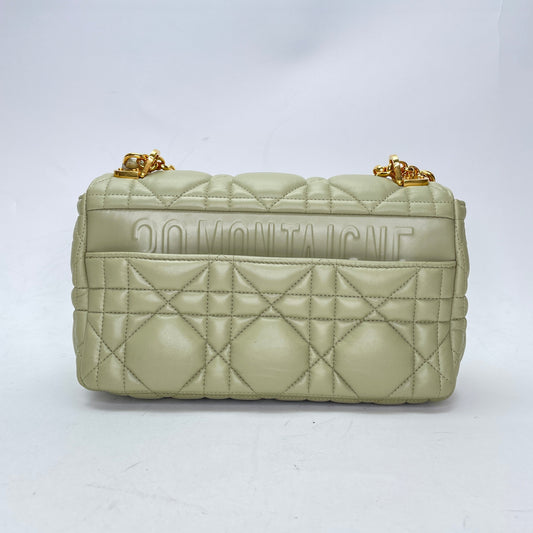 Caro Medium Green Crossbody Bag in Calfskin, Gold hardware