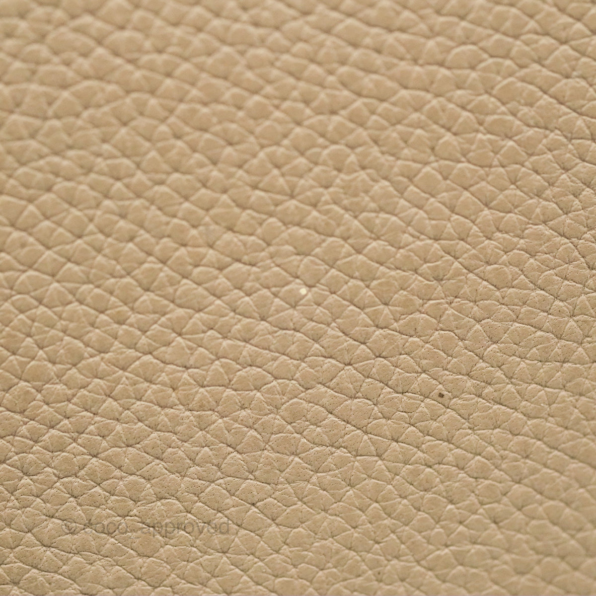 Celine Big Bag Bucket Light Taupe Grained Calfskin