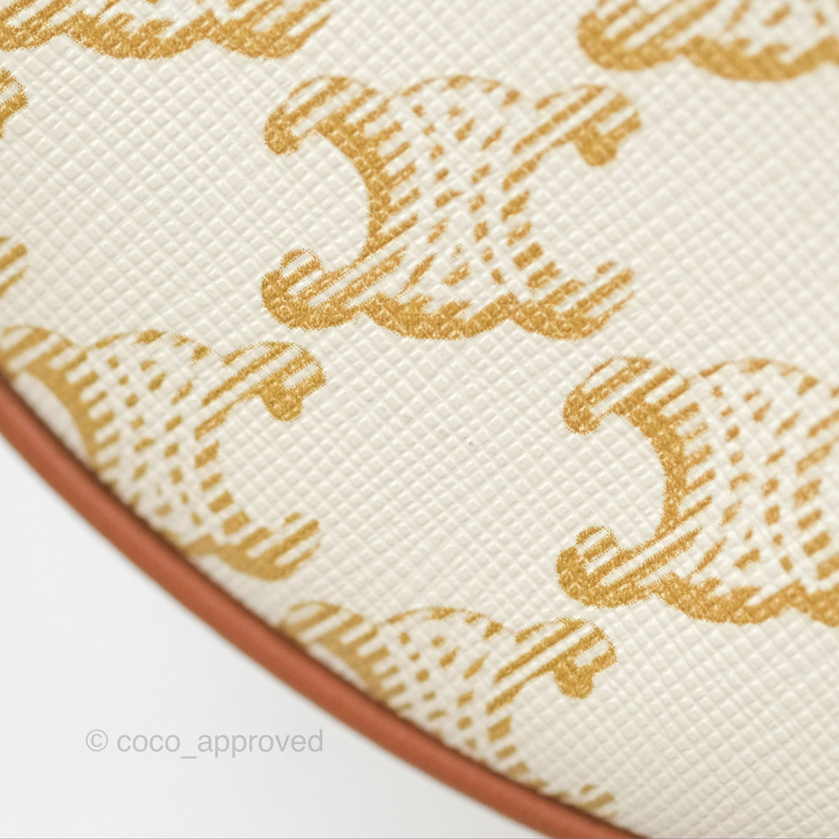 Celine Ava Bag In Triomphe Canvas Calfskin White