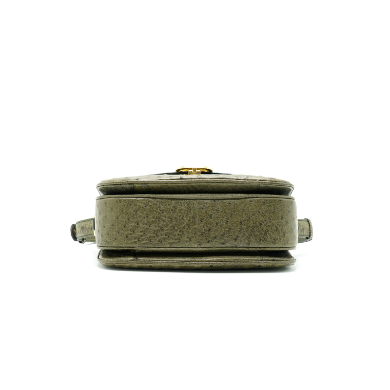 Celine Vintage Ostrich Triomphe Bag