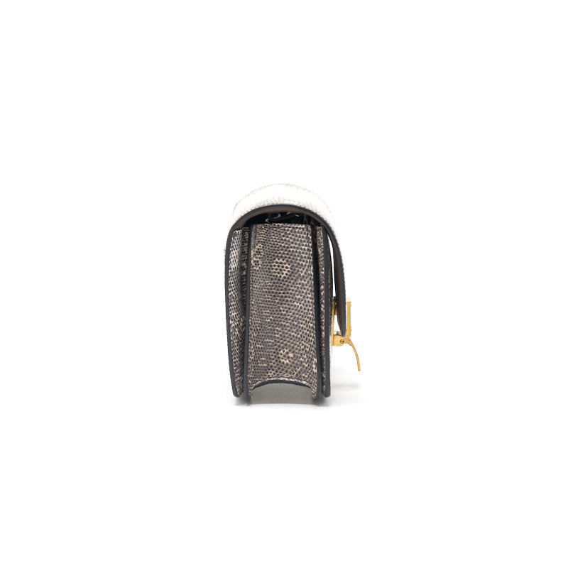 Celine Small Classic Bag in Lizard