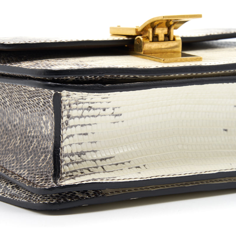 Celine Small Classic Bag in Lizard