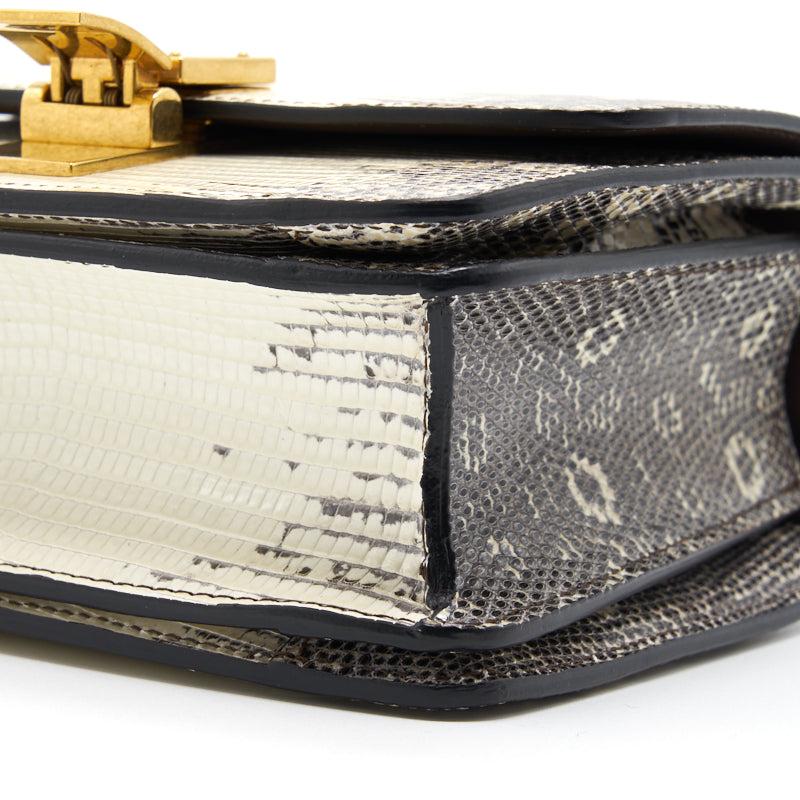 Celine Small Classic Bag in Lizard