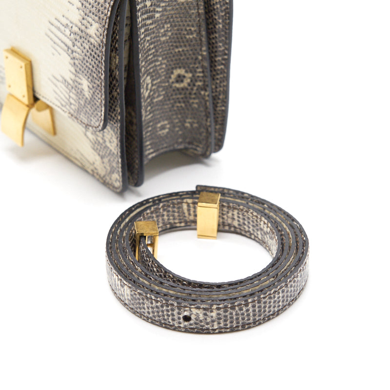 Celine Small Classic Bag in Lizard