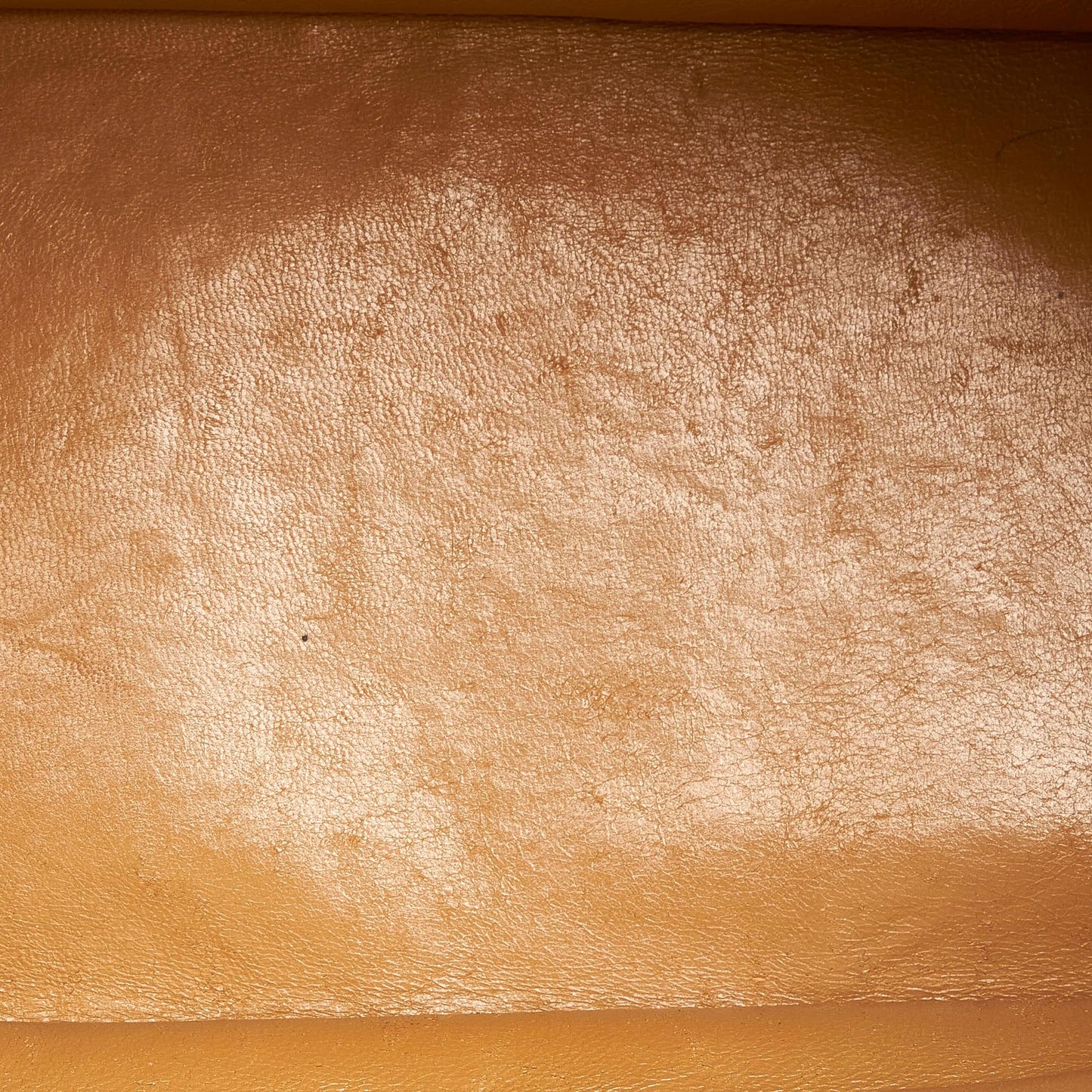 Chanel Medallion Caviar Leather Tote Bag (SHG-33642)