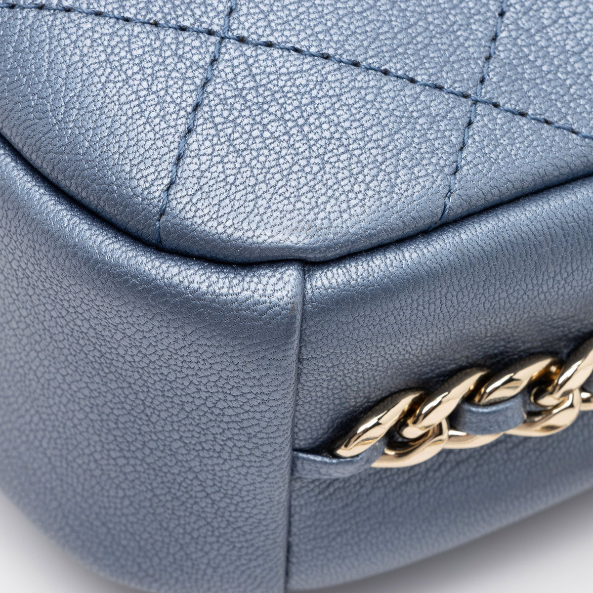 Chanel Metallic Goatskin Casual Trip Camera Bag (SHF-jQIRUc)