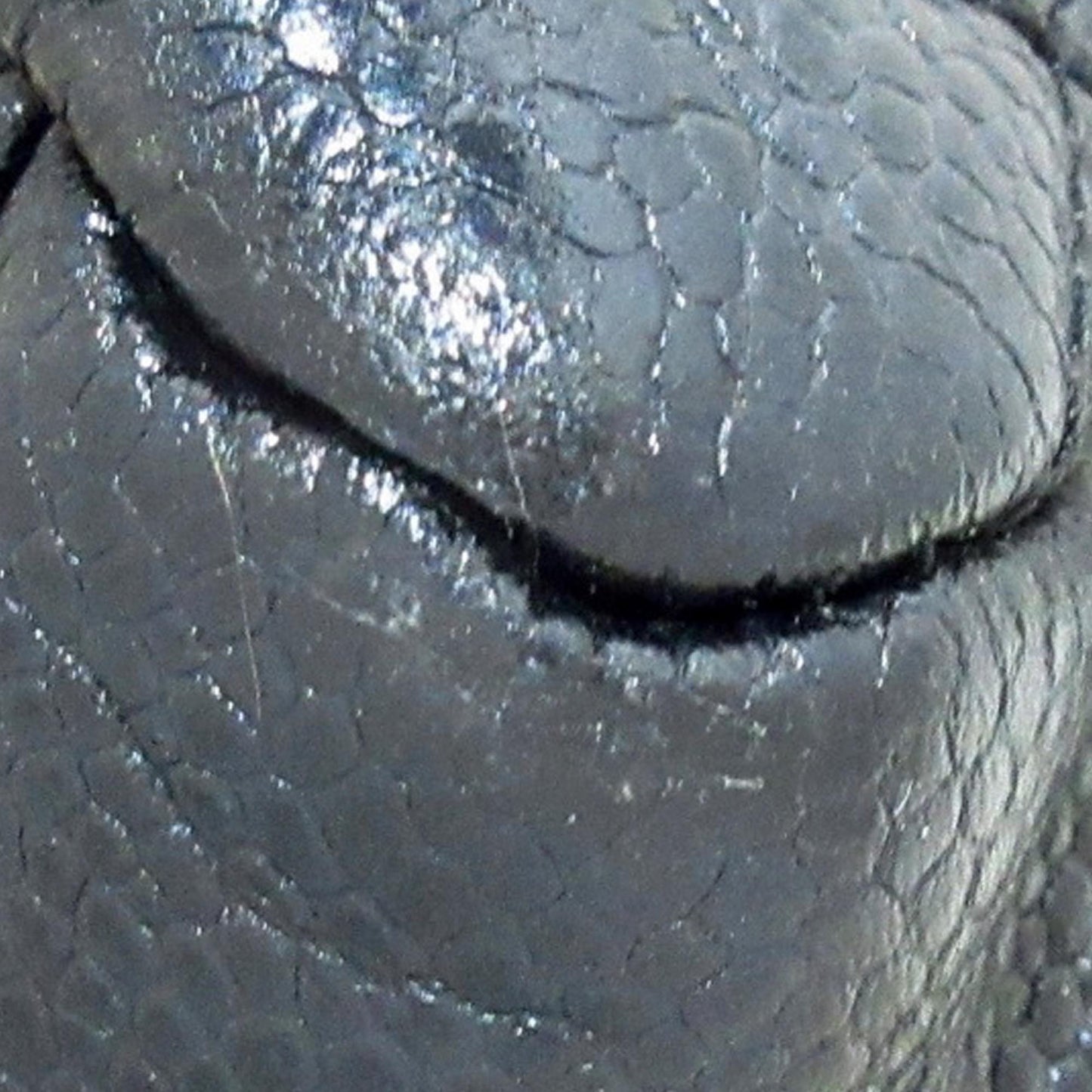 Chanel Petite Caviar Timeless Shopping Tote