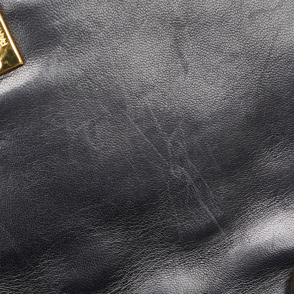 Chanel Small Lambskin Diana
