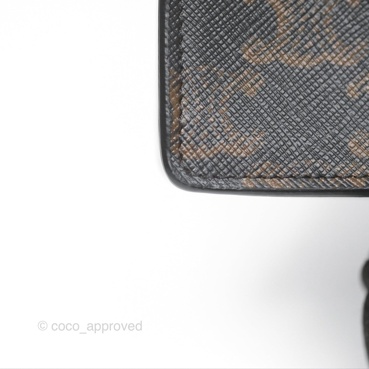 Celine Wallet On Strap Triomphe Canvas Tan Lambskin