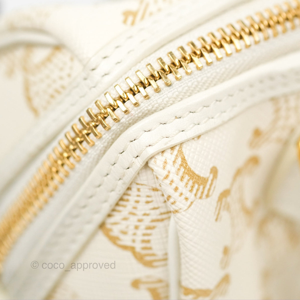 Celine Small Boston Bag White Triomphe Canvas Calfskin