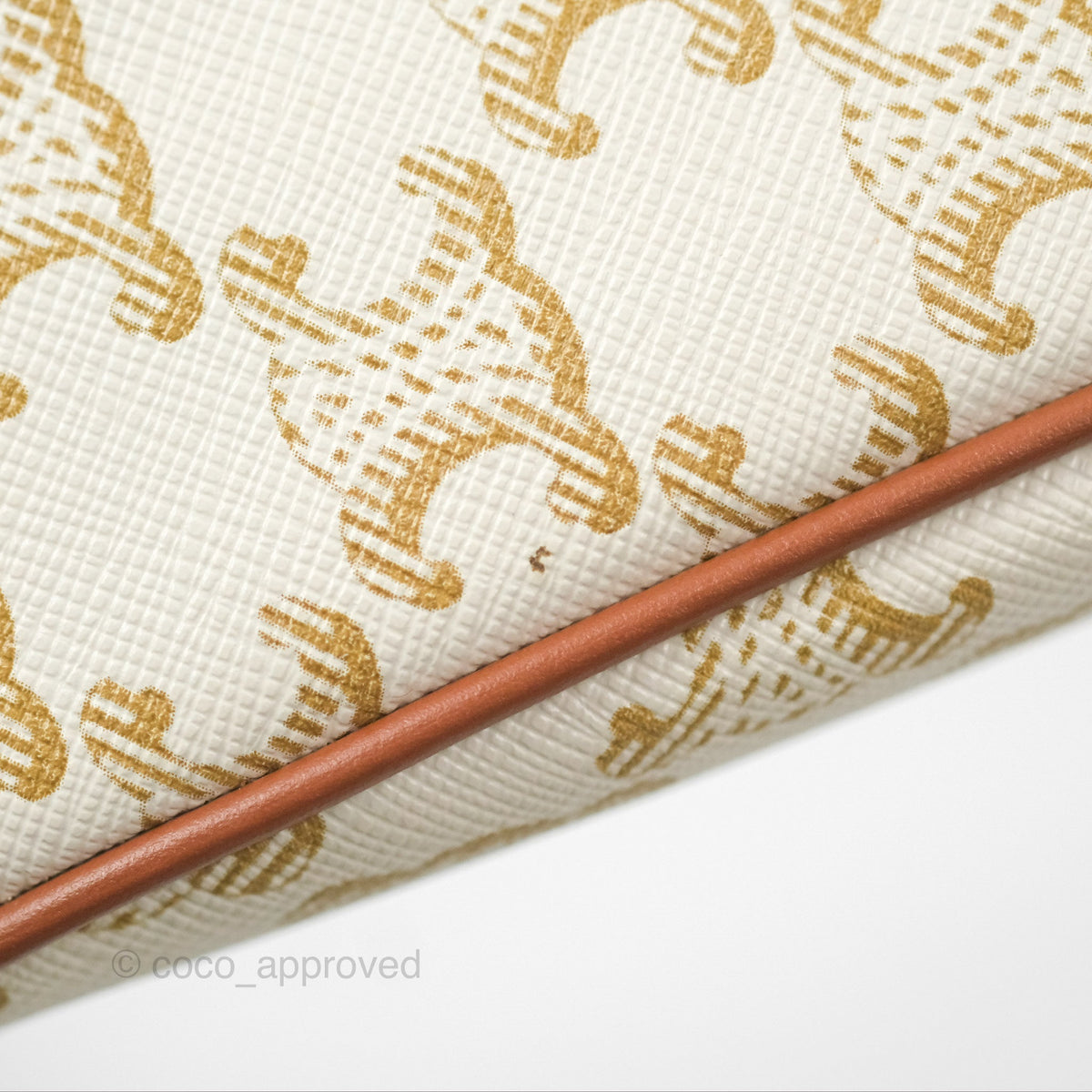 Celine Ava Bag In Triomphe Canvas Calfskin White
