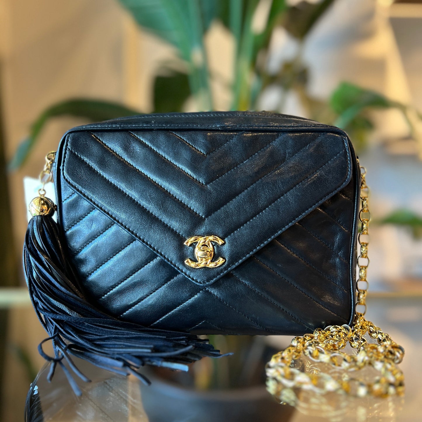 CHANEL Chevron Lambskin Camera Bag