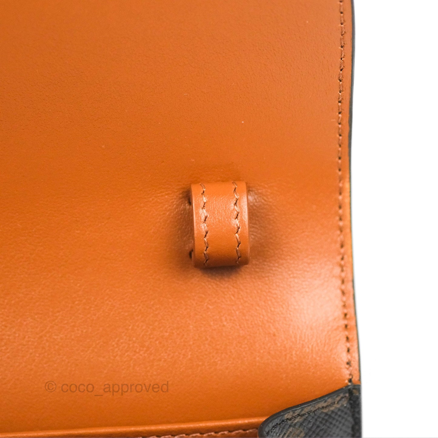 Celine Wallet On Strap Triomphe Canvas Tan Lambskin