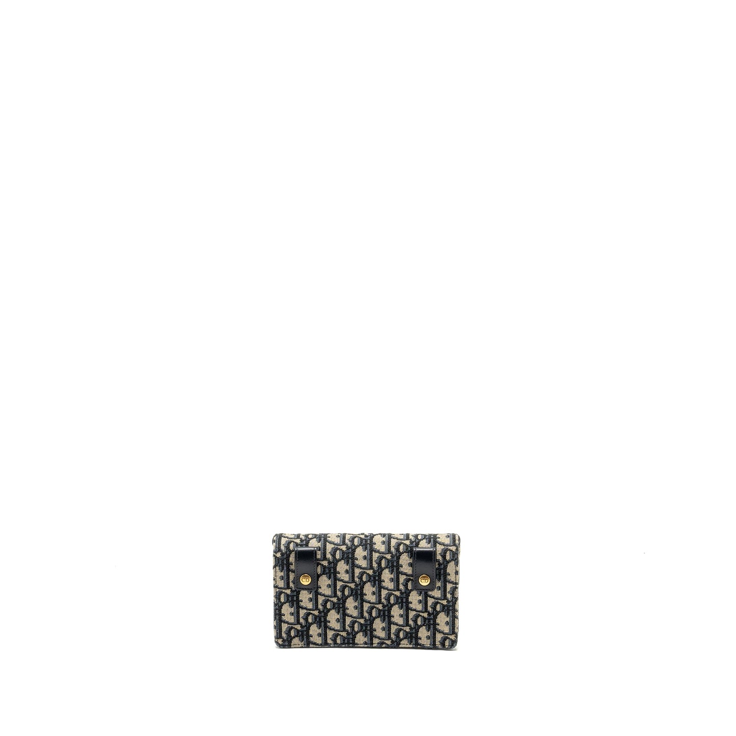Dior Saddle Belt Pouch dior oblique canvas blue GHW