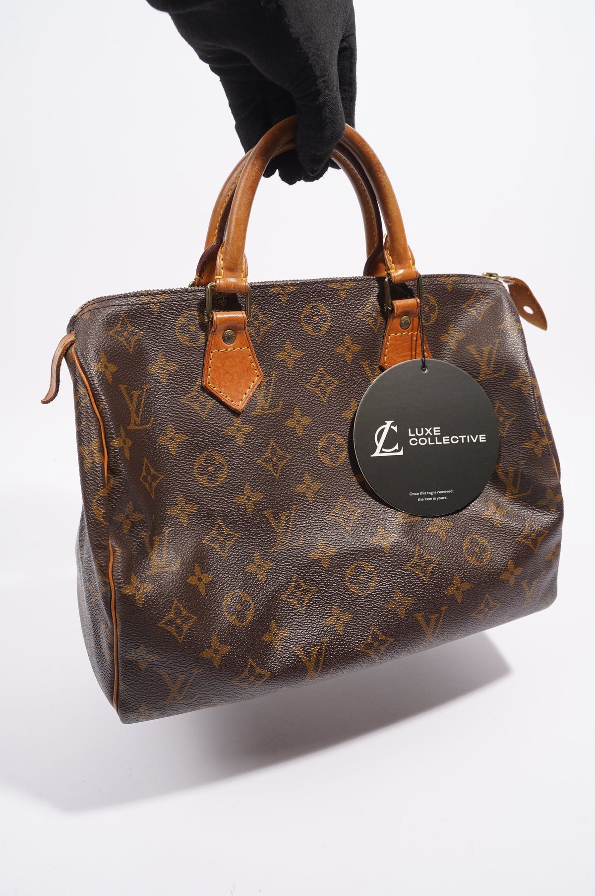 Louis Vuitton Speedy Monogram Canvas 30