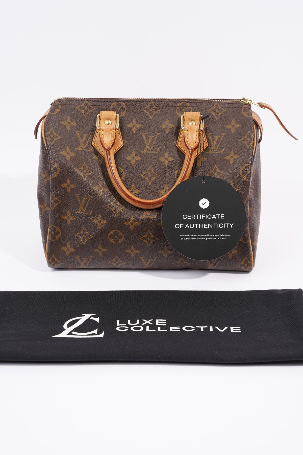 Louis Vuitton Speedy Monogram Canvas 25